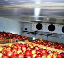 Холодильные Камеры для Фруктов Овощей Зелени. - Продажа в Симферополе