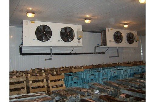 Низкотемпературные установки и холодильные (морозильные) камеры для рыбы, мяса, мороженого. - Продажа в Черноморском