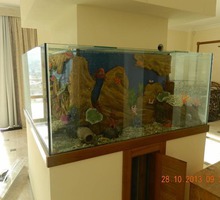 Изготовление аквариумов любой формы и размеров - Аквариумные рыбки в Севастополе