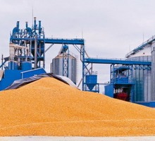 Уничтожение вредителей хлебных запасов, фумигация, газация зерна с гарантией - Сельхоз услуги в Феодосии