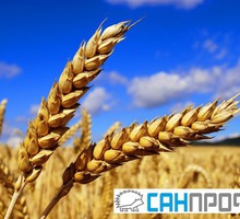 Фумигация зерна фосфином - Сельхоз услуги в Симферополе