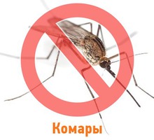 Уничтожение взрослых особей (имаго) и личинок комаров, проводя при этом целый комплекс мероприятий. - Клининговые услуги в Симферополе