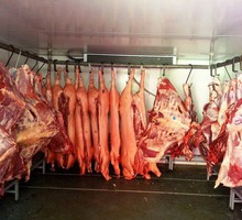 Холодильное Оборудование для Мяса. Камеры Заморозки - Продажа в Судаке