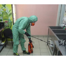 Дезинсекция и Дератизация для организаций и физических лиц! Полный пакет документов! - Клининговые услуги в Ялте