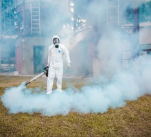 Дератизация!Дезинсекция!Дезинфекция! Истребление за 1 раз насекомых, микроорганизмов и грызунов! - Клининговые услуги в Ялте