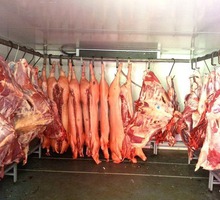 Холодильные Камеры для Заморозки Мяса. - Продажа в Севастополе
