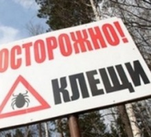 Акарицидная обработка (уничтожение клещей)! Гарантия на весь сезон! Безопасно для здоровья! Жмите! - Клининговые услуги в Бахчисарае