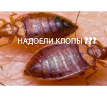 Клопы мешают жить? Профессиональная обработка от клопов! Безопасно, анонимно, гарантия!Жмите - Клининговые услуги в Белогорске
