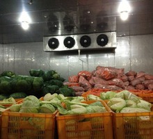 Холодильная камера с агрегатом для хранения капусты и моркови в Джанкое и Крыму под ключ - Продажа в Джанкое