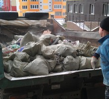 Вывоз мусора, спил и обрезка деревьев. - Вывоз мусора в Севастополе