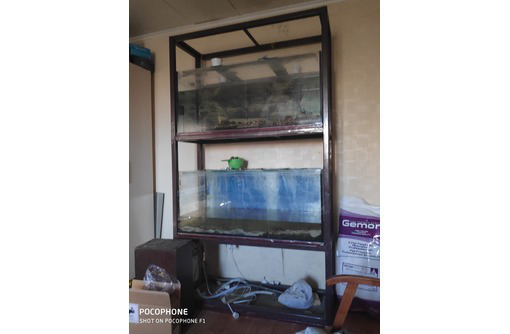 Продам стеллаж с двумя аквариумами - Аквариумные рыбки в Севастополе