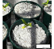 Агроперлит в мешках для растений - Грунты и удобрения в Симферополе