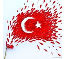 Курсы турецкого языка для желающих - Языковые школы в Симферополе