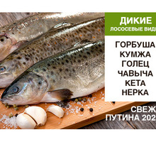 Свежемороженая рыба, широкий выбор - Продукты питания в Алуште