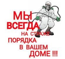 Дезинфекция, Дератизация, Дезинсекция. Уничтожение насекомых, грызунов, микроорганизмов. Дезинфектор - Клининговые услуги в Армянске