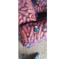 Оптовая продажа моркови в г. Севастополе - Эко-продукты, фрукты, овощи в Севастополе
