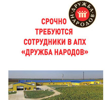 ​Срочно требуются сотрудники в АПХ «Дружба народов» - Сельское хозяйство, агробизнес в Крыму