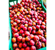 Боярышник, плоды - Эко-продукты, фрукты, овощи в Симферополе