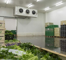 Холодильные Камеры для Зелени и Овощей. Холодильное Оборудование. - Продажа в Симферополе
