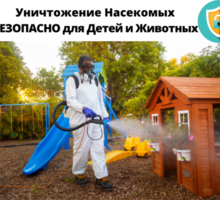 Обработка клопов холодным туманом в Симферополе - Клининговые услуги в Симферополе