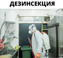 Дезинсекция в Симферополе - Клининговые услуги в Симферополе