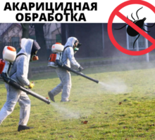 Акарицидная обработка, Уничтожение клещей с гарантией в Приморском - Клининговые услуги в Приморском