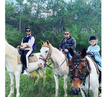 Конные прогулки, квадротуры Севастополь - Активный отдых в Севастополе