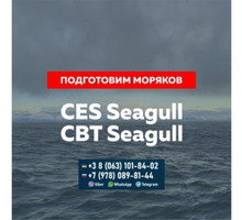 Поможем. подготовим к сдаче Seagull CES, Seagull CBT и других тестов для моряков. - Обучение для моряков в Керчи