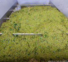 Винодельня оборудование по переработки винограда - Продажа в Симферополе