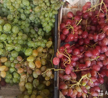 Свой Виноград на вино и чачу - Эко-продукты, фрукты, овощи в Севастополе