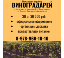 Виноградарь - Сельское хозяйство, агробизнес в Севастополе