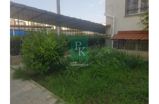 Сдам офис, 53м² - Сдам в Севастополе