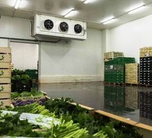 Холодильные Камеры для Овощей и Фруктов. Установка с Гарантией. Холодильные Установки для Овощей. - Продажа в Севастополе