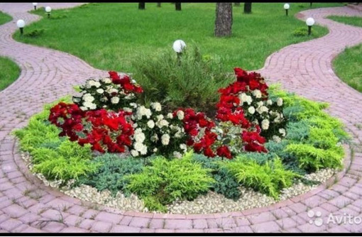 Садовник-универсал – широкий спектр агрономических и ландшафтных услуг! - Ландшафтный дизайн в Евпатории