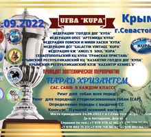 Многопородная выставка собак 24.09.2022 - Собаки в Севастополе