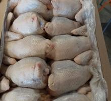 Курица суповая (несушка) - Продукты питания в Симферополе
