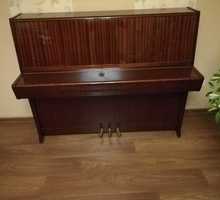 Пианино Петрофф (Petrof) - Клавишные инструменты в Саках
