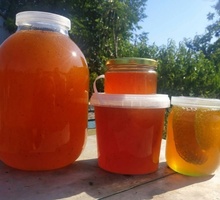 Продам мёд - Продукты питания в Симферополе