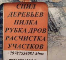 Спил Деревьев расчистка участков копка ям заточка цепи - Фото-, аудио-, видеоуслуги в Бахчисарае