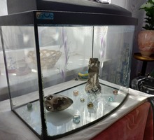 Продается аквариум на 56л - Продажа в Инкермане