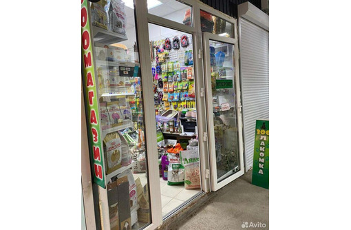 ялта улица киевская 24. республика крым ялта киевская улица 24 нофелет. живая точка. киевская 24 ялта. ялта киевская улица.