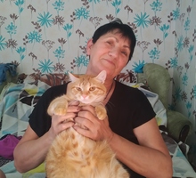 Поиск животных - Бюро находок в Севастополе