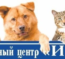 Ветеринарные услуги - Ветеринарные услуги в Симферополе