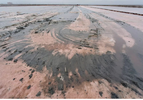 В уникальном озере Сасык-Сиваш из-за шторма снизилась соленость