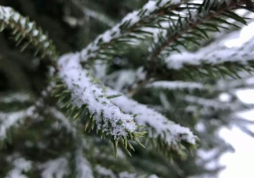 На Севере Крыма выпал первый снег. ВИДЕО