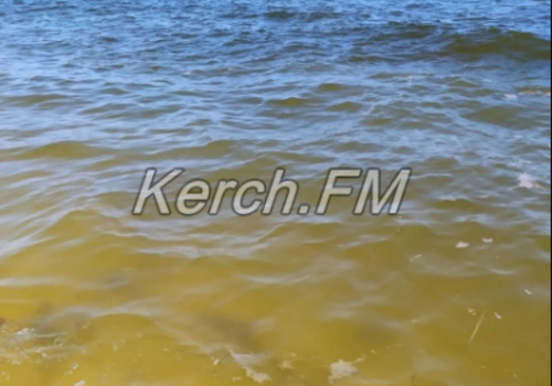 «Желтое» море у берегов Ленинского района напугало отдыхающих ФОТО