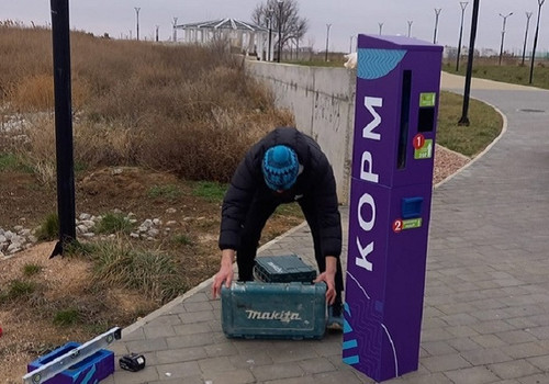 Помогать с кормёжкой уток и лебедей в Крыму будут автоматы