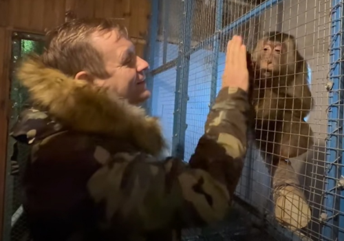 В Крым из Донецкого и Мариупольского зоопарка привезли десятки животных