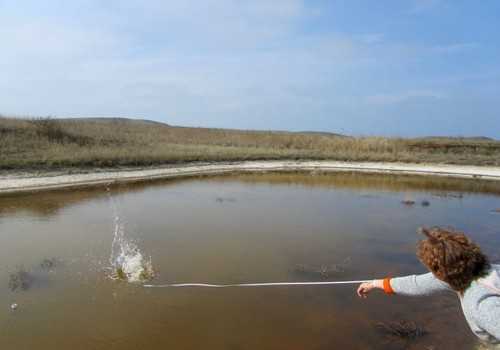 В районе мыса Казантип ученые обнаружили уникальное озеро