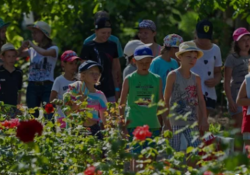 Детский отдых в Крыму: что нового